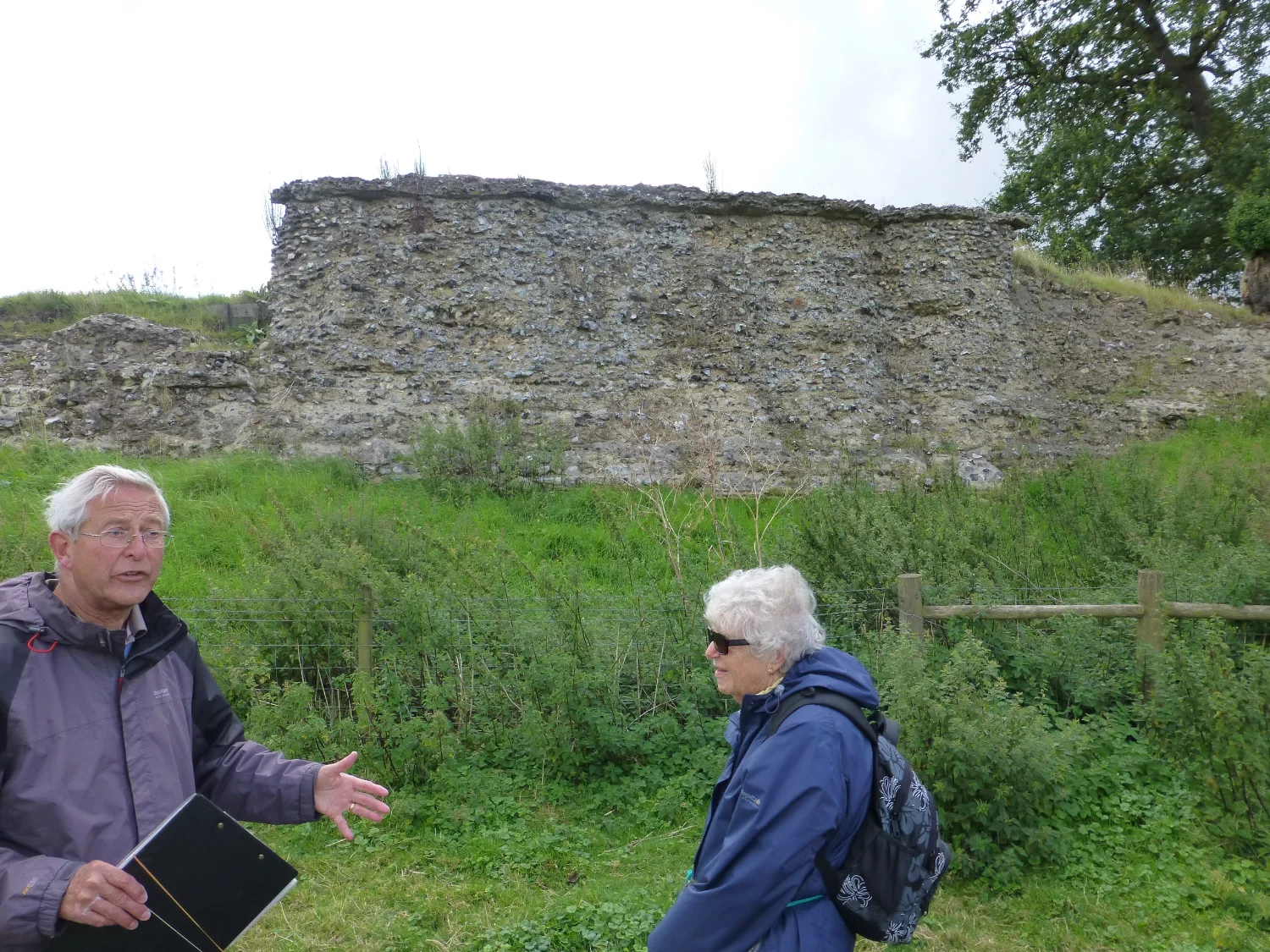Caistor St Edmund Roman Wall
