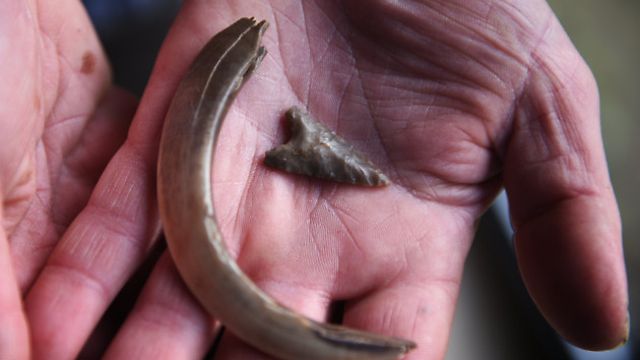 Neolithic Arrowhead and Wild Boar Tusk, which were found together