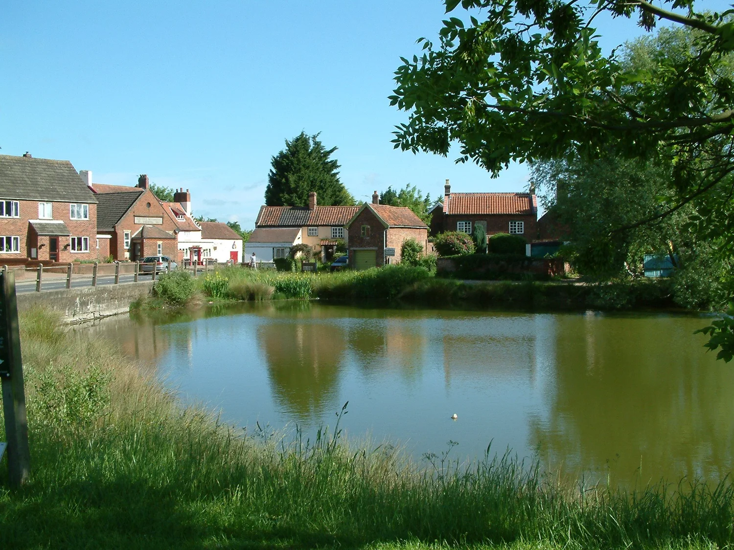 Mulbarton Village Pond